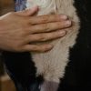 farm blog 3 opt