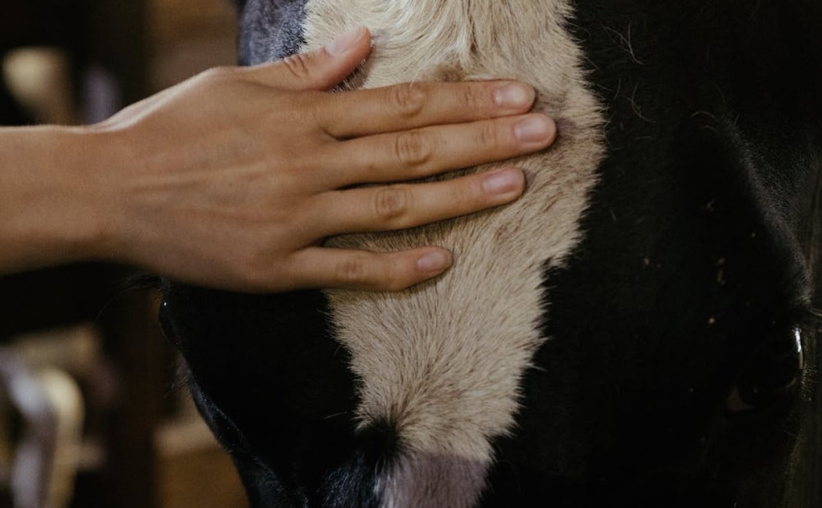 farm blog 3 opt