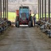 farm blog 6 opt