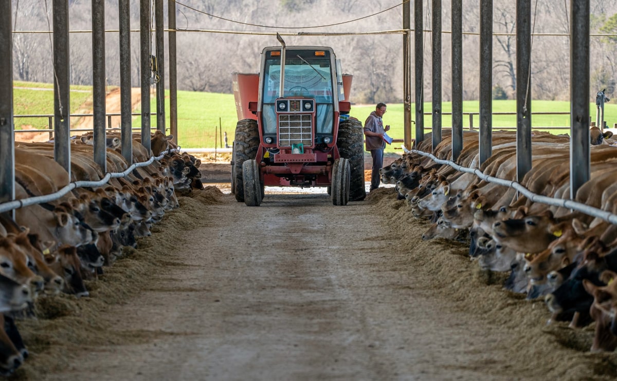 farm blog 6 opt